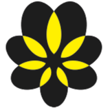 CanDoc