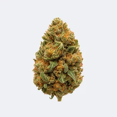 Cannabisblüte